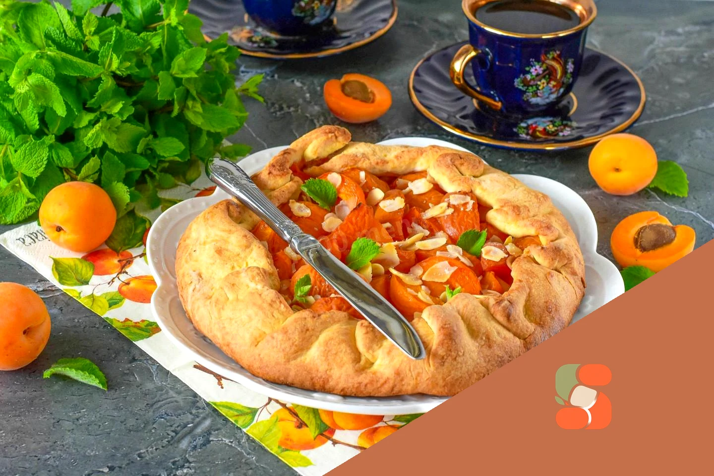 Домашняя галета с абрикосами