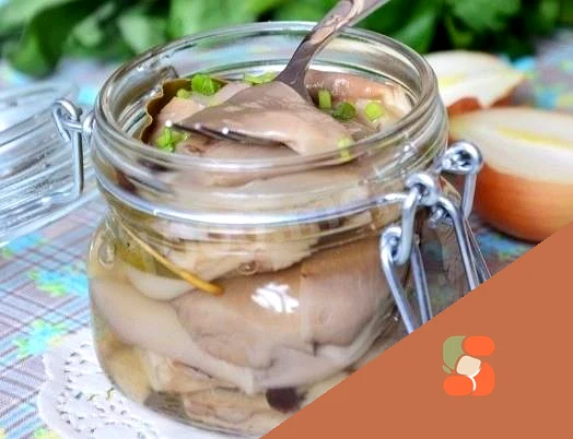 Маринованные грибы вешенки на зиму - отличная закуска