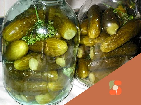 Огурцы на зиму с уксусной эссенцией