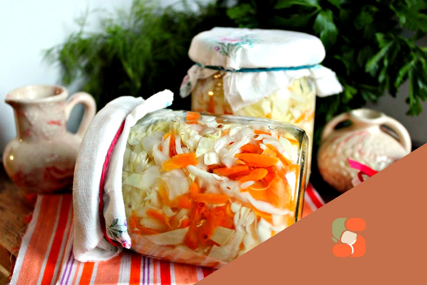 Ранняя капуста на зиму в банках