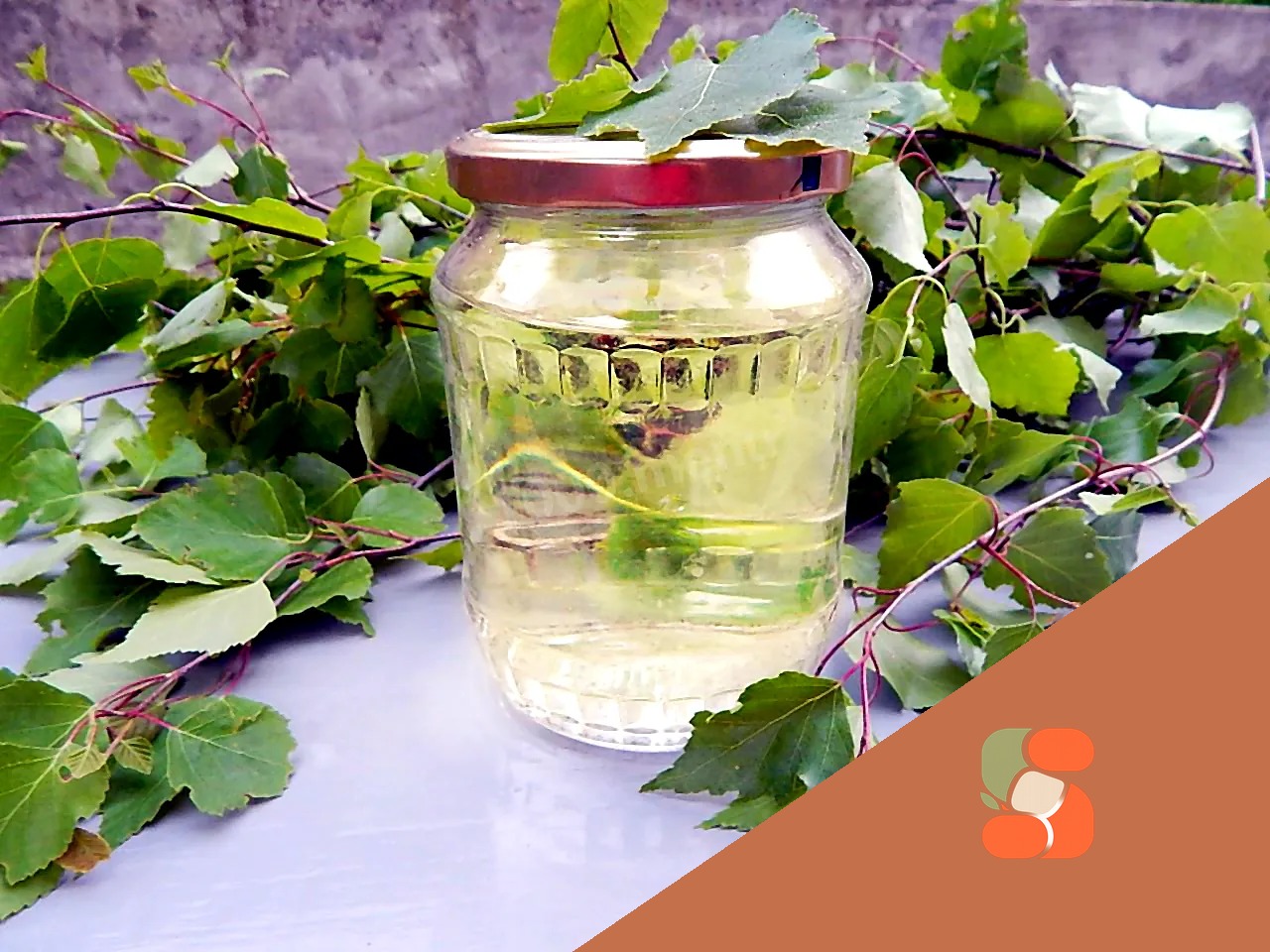 Березовий сік на зиму